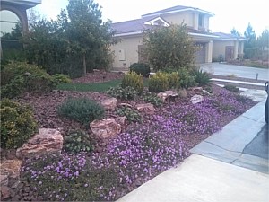 Landscape Services