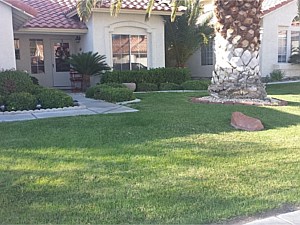 Landscape Services