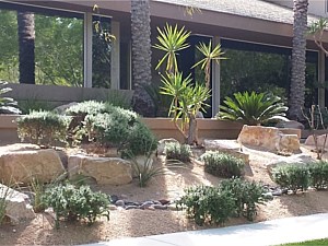 Landscape Services