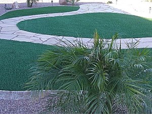 Artificial Turf