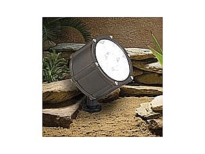 Landscaping Lighting