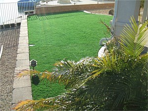 Artificial Turf